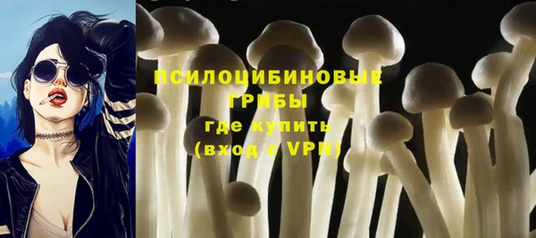 винт Магас