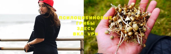 винт Магас
