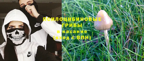 стафф Липки